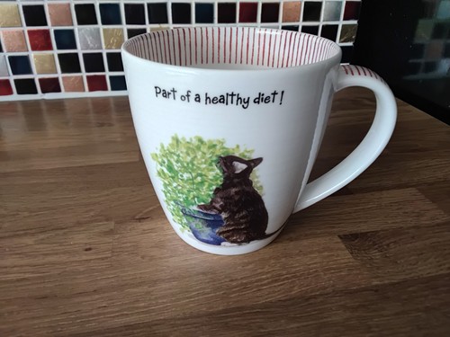 Hudson middleton cat mug - middleton,