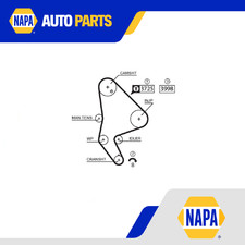 Timing Belt fits FIAT ULYSSE