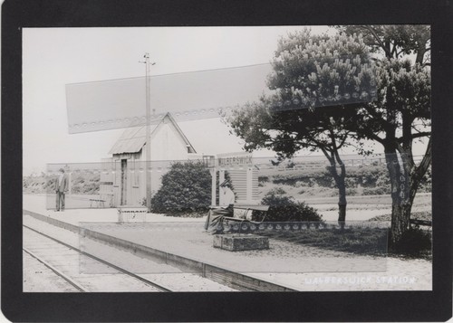 Walberswick railway station - railway,