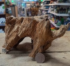 Derwen Oak Bogwood 21-42cm