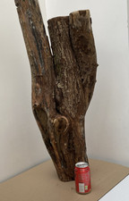 Large Driftwood Piece ideal