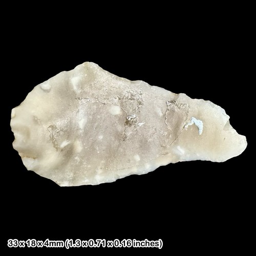 Rare neolithic scraper - rare,