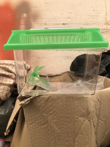 Plastic aquarium fish tank - plastic,