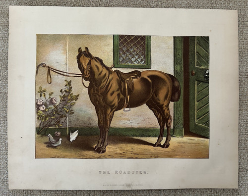 Roadster horse c1880 antique - roadster,