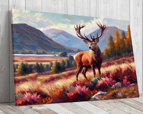 Scottish stag the - scottish, in