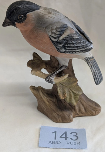 Andrea sadek bullfinch - andrea,