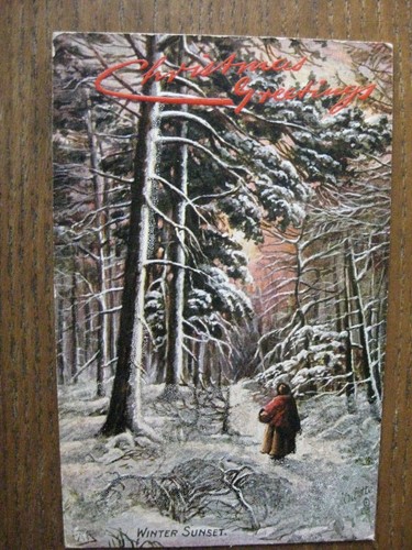 Winter sunset with christmas - winter,
