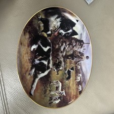 Davenport Bradford Exchange