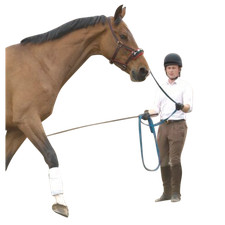HY Lunge Line Reins Soft