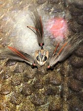 3 V Fly Size 2 Ultimate Hot