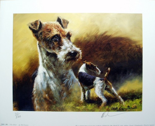 Mick cawston fox terrier - cawston,