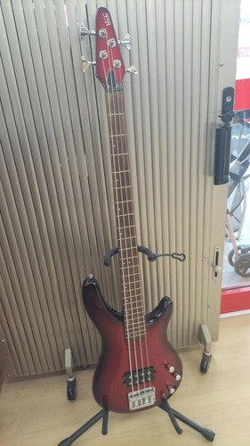Bass revolution works electric - works,