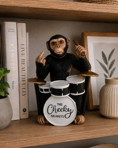 The cheeky monkeys - cheeky, drummer