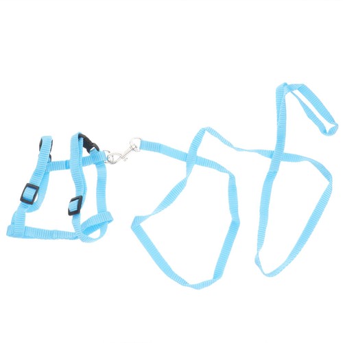 Pet traction strap - pet, rabbit