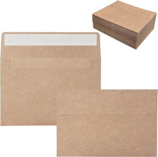 100 Pack 4x6 Envelopes for