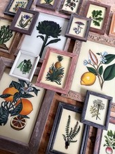 Botanical Reverse Glass