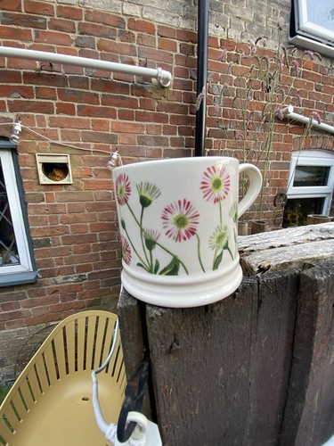 Discontinued emma bridgewater - emma,