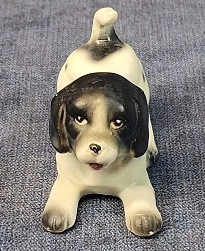 English springer spaniel puppy - english,