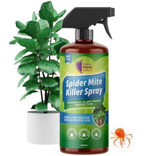 Spider mite killer spray 200ml - spider,