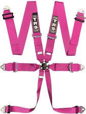 TRS Magnum 6 Point Harness