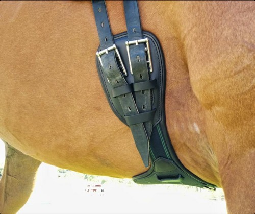 Amerigo leather anatomic - amerigo,