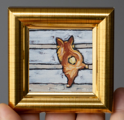 Corgi dog butt stairs - butt,