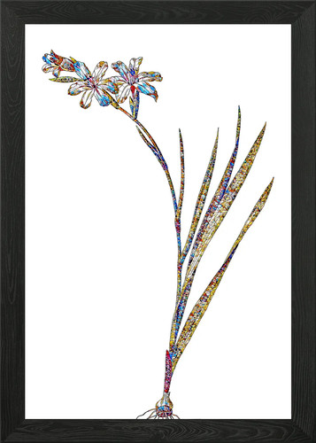 Stained glass gladiolus framed - glass,