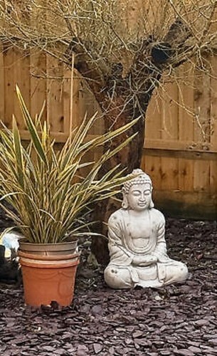58cm tall large - large, sitting