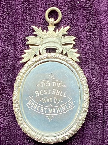 Silver medal lanarkshire - silver,