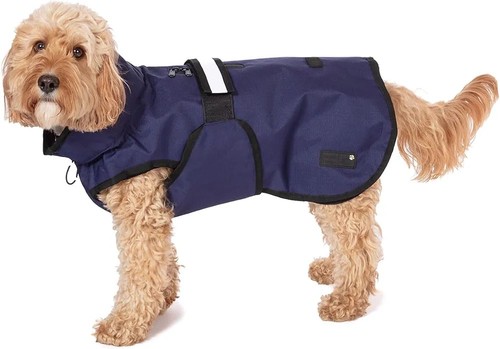 Danish design dog - dog, coat