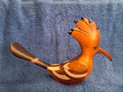African hoopoe bird feathers - hoopoe,