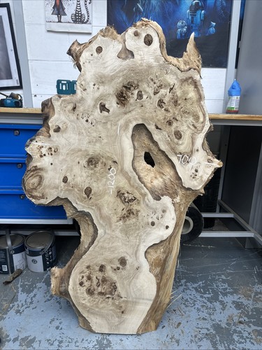 Poplar burl 1200-700-35mm