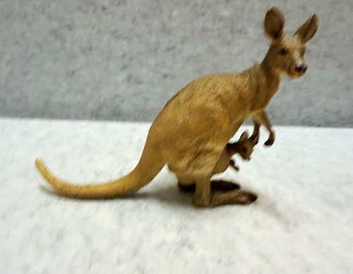 Vintage aaa kangaroo with - vintage, joey