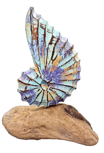 Shell carving driftwood - shell,