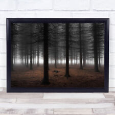 Silence Forest Tree Woods Fog Mist Trunks Wall Art Print