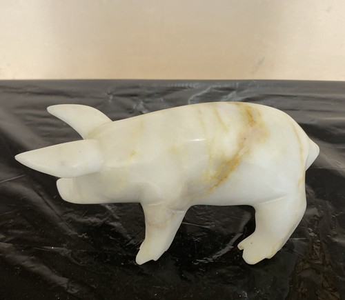 White marble tamworth - tamworth, pig