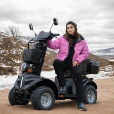 1000W 4-Wheel Power Mobility