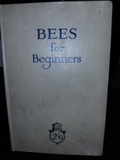 Bees for beginners taylor - beginners, e