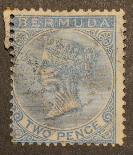 Bermuda scott used - #, 02,