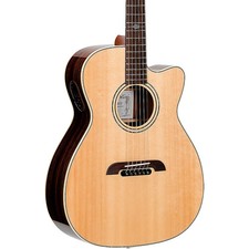Alvarez Yairi FY70ce Cutaway
