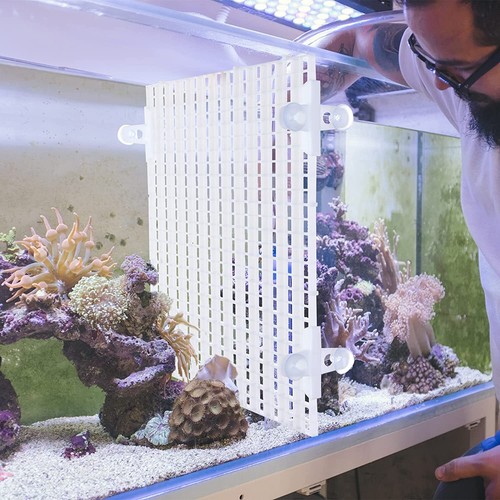 4pcs aquarium divider tray - divider,