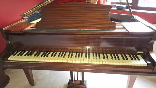Challen baby grand piano - grand,