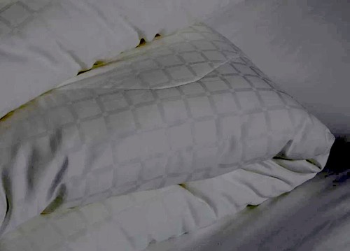 The white company comforter - the,