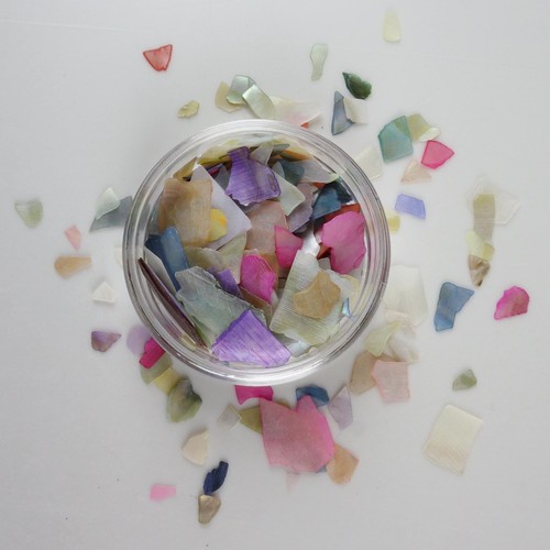 Crushed shell fragments - shell, pieces