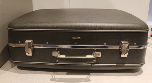 Grey vintage antler suitcase - grey,