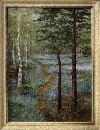 Ethel parkinson bluebell - bluebell, woods