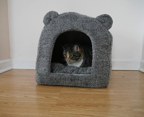Rosewood teddy bear - teddy, grey