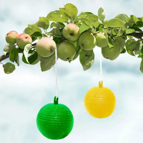 Outdoor indoor fly sticky - fly,