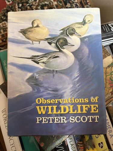 Observations wildlife by - wildlife,