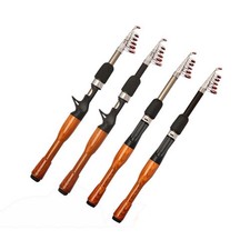 Fishing Rod Mini Portable